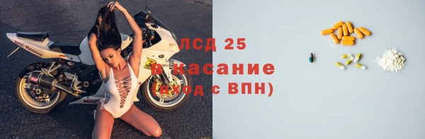 СК Новозыбков