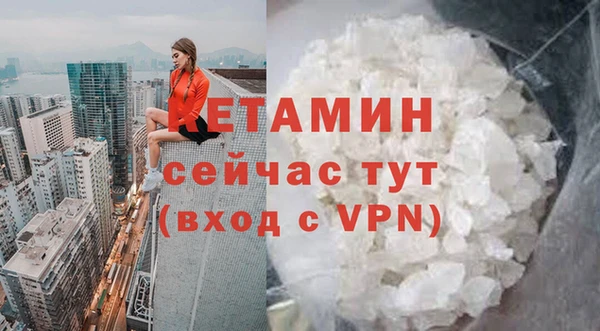 СК Новозыбков