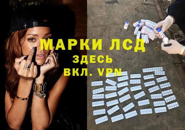 СК Новозыбков
