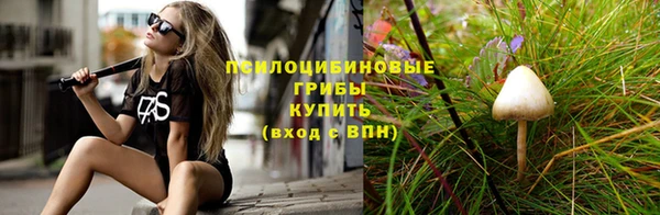 хмурый Новокубанск