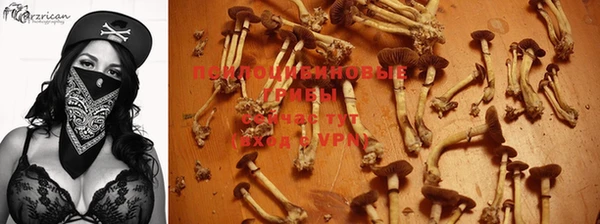 СК Новозыбков