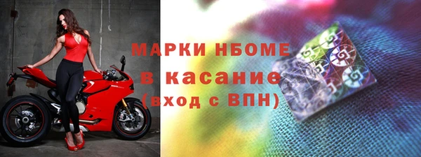 СК Новозыбков
